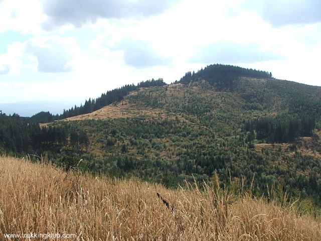 Punct de belvedere - Muntele Cucu