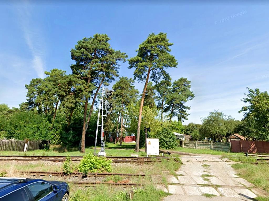 Strada Gyertyánffy Ferenc Padurea de pini Millennium - Sfantu Gheorghe