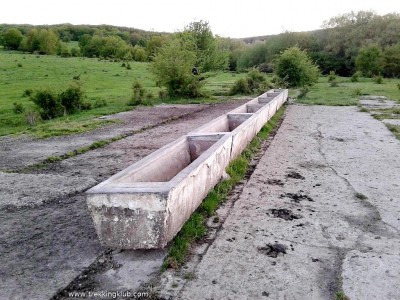 Stejarii de langa Padurea Oprita - Viscri