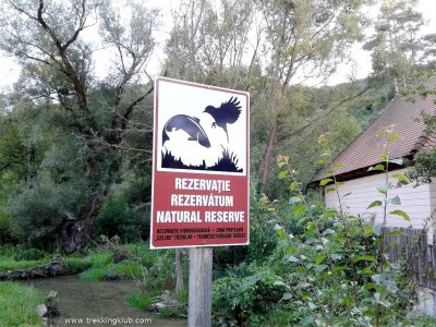 Zona protejata mlastina de turba Baile Seiche