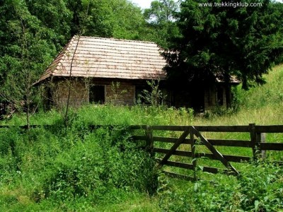 Liniste vesnica