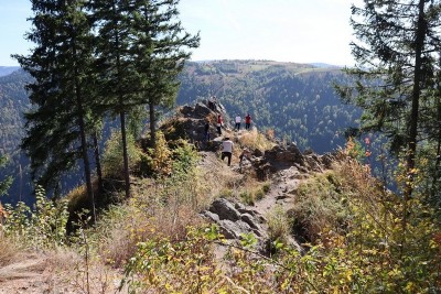 Tacla Gavrii Marisel