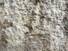 Viaductul Mina Scurgeri parietale Viaduct Mina Valea Garbea