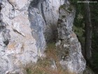 Turnuletul cu Poarta Turnuletul cu Poarta 3 turnulet poarta piatra craiului