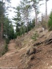 Viaductul Caracau - Livez-Ciuc Poteca poteca