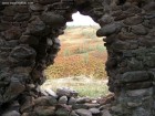 Cetatea Malaiesti - Salasu de Sus 493 Cetatea Malaiesti ruine