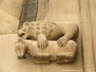 Catedrala romano-catolica din Alba Iulia 607 catedrala romano catolica Alba Iulia
