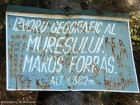 Indicator izvorul Muresului