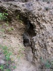 Cavitatile de langa Satu Mare Nivelul doi Satu Mare cavitate
