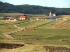 Teiul de 500 de ani din Leliceni Biserica din Leliceni Leliceni