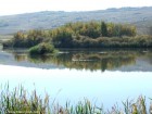 Lacul Lebedelor - Faragau Insulite Lacul Lebedelor Faragau