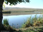 Lacul Lebedelor - Faragau Undite Lacul Lebedelor Faragau