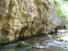 Cheile Rametului Perete de stanca Cheile Rametului