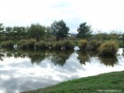 Lacul Verde 2 Lacul Verde 2