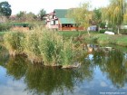 Lacul Verde - Sancraiu de Mures Lacul Verde 6 Lacul Verde Sancrai Mures