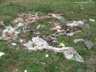 Cernobil Targu Mures Gunoi Targu Mures Combinat Cernobil