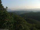 Panorama Panorama