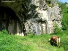 Podul lui Dumnezeu La baza podului pod natural podul dumnezeu ponoarele