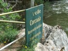Cheile Corcoaia Zona protejata Cheile Corcoaia