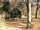 Parcul dendrologic Gurghiu Pavilioane Gurghiu
