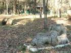 Parcul dendrologic Gurghiu Statuie Gurghiu
