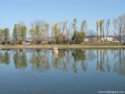 Curtea Domneasca - Targoviste Lacul Curtea Domneasca Targoviste