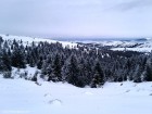 Zona izvorului privit de pe culme izvor Trotus