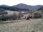 Rezervatia Valea Iadului - Turia Zona din jurul mofetei Valea Iadului Turia