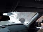 Ia-ma nene spre Balvanyos Ia-ma nene spre Balvanyos