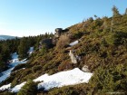Ciuperci de piatra - Harghita Ciceu In luna mai ciuperci piatra Harghita Ciceu