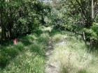 Cazemata de pe Dealul Bugeac Acces blocat cu sarma Dealul Bugeac cazemate