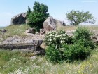 Cazemata de pe Dealul Bugeac Vegetatie deasa Dealul Bugeac cazemate