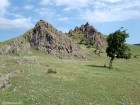 Spinarea dinozaurului
