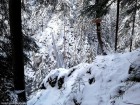 Podul suspendat nou - Cheile Bicajelului Se coboara la pod Podul suspendat nou Cheile Bicajelului Bicajel