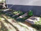 Biserica catolica Sfantul Anton din Padua - Ciceu Pietre funerare orizontale Ciceu biserica catolica Sfantul Anton Padua