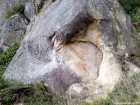 La stanci - Paraul Boghii Cap de animal culcat Parau Boghii Tisesti stanci stancarie