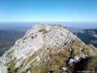 Creasta nordica Creasta nordica