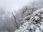 Piatra Tarcii - Odorheiu Secuiesc Priveliste cu ceata Piatra Tarcii Odorheiu Secuiesc