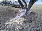 Poteca tematica Vechiul rau Olt - Sansimion Plasa contra castori Sansimion poteca tematica vechiul rau Olt brat mort