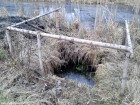 Poteca tematica Vechiul rau Olt - Sansimion Groapa cu apa pentru irigatie Sansimion poteca tematica vechiul rau Olt brat mort