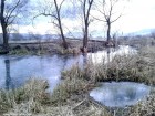 Poteca tematica Vechiul rau Olt - Sansimion Partea din sud Sansimion poteca tematica vechiul rau Olt brat mort