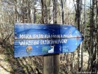Baia Hammas - Paraul Jombor Indicator paraul Jombor baia Hammas