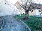Cetatea Rupea Poteca neterminata Cetatea Rupea cetate