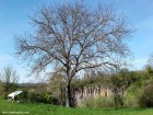 Dinspre parcul cu panouri solare