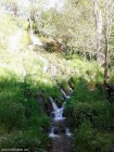 Microcanionul in bazalt - Hoghiz Cascada spectaculoasa Microcanion bazalt Hoghiz