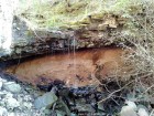 Microcanionul in bazalt - Hoghiz Cadere de apa Microcanion bazalt Hoghiz