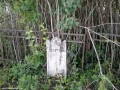Cimitirul reformat - Bogata Sprijinit de gard Bogata cimitir reformat