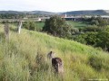 Cimitirul evreiesc - Bogata Priveliste spre autostrada Bogata cimitir evreiesc