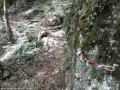 Caderile de apa ale Paraului Dracului Cablu pentru asigurare Paraul Dracului caderi apa cascade