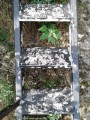 Pestera Sfantul Ioan Casian Nume gravate in treptele scarii Pestera Sfantul Ioan Casian